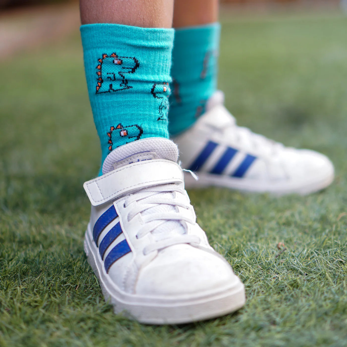 Chaussettes enfant Dino - SPORCKS (28-34)