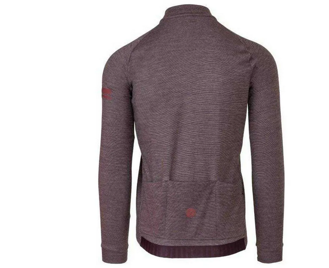 Maillot vélo manche longue Merino Performance homme purple_velvet - AGU