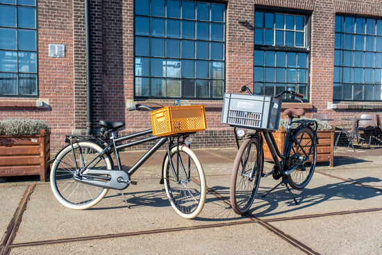 Cagette en plastique - Large 34L