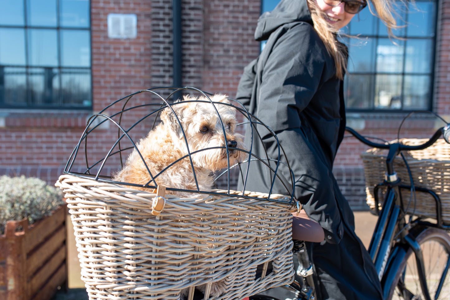 Jale panier pour chien en rotin
